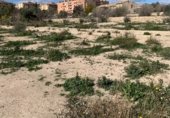 Land with ruins for sale on Carrer de l'Almirall Estrada, la Vila Joiosa, ref: TR216517 photo