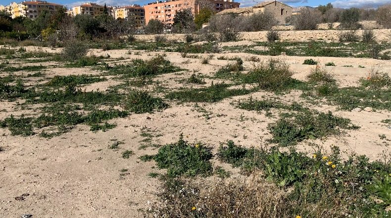 Alicante - Villajoyosa - 3057m2