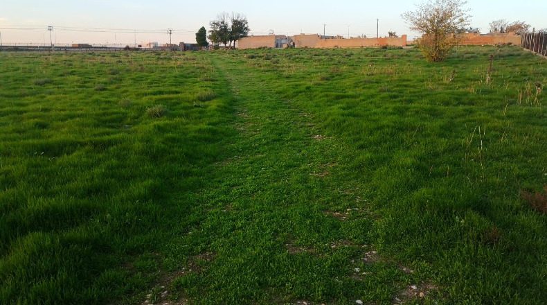 Ciudad Real - Daimiel - 18000m2