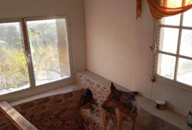 Foto 12