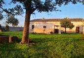 Земельный участок на продажу в городе Daimiel Фото