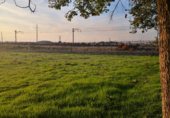 Земельный участок на продажу в городе Daimiel Фото