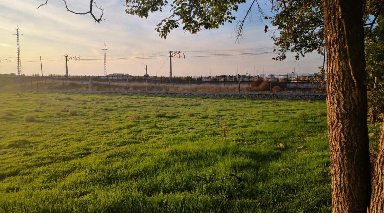 Ciudad Real - Daimiel - 18000m2