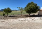 Casa de pedra amb terreny en venda a la Paraje El puerto, Vélez-Blanco, ref.: TR230041 foto