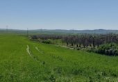 Земля на продажу у города Gerena Фото