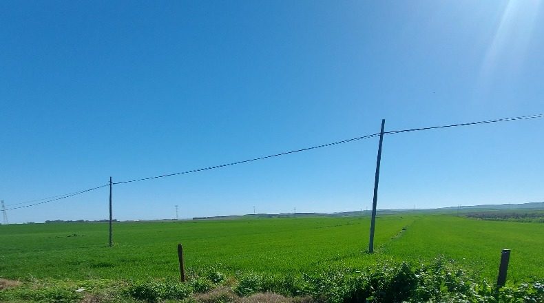 Seville - Gerena - 12880m2