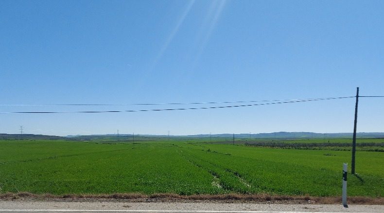Seville - Gerena - 12880m2