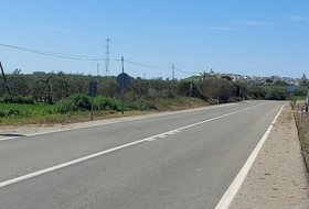 Foto 15