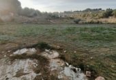 Land with storage building for rent on Carrer del Garbí, la Secuita, ref: TR225216 photo