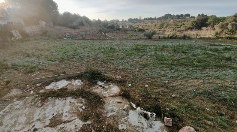 Tarragona - la Secuita - 4000m2