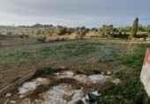 Land with storage building for rent on Carrer del Garbí, la Secuita, ref: TR225216 photo