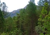 Non-developable land for sale on Camino del Ulldemó, Beceite, ref: TR225858 photo