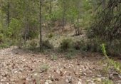 Non-developable land for sale on Camino del Ulldemó, Beceite, ref: TR225858 photo