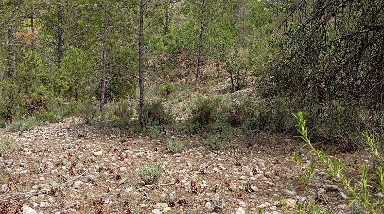 Teruel - Beseit - 2913m2