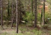 Non-developable land for sale on Camino del Ulldemó, Beceite, ref: TR225858 photo