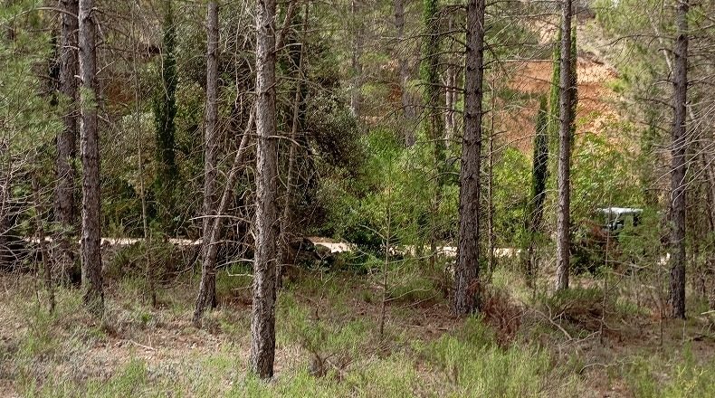 Teruel - Beseit - 2913m2
