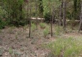Non-developable land for sale on Camino del Ulldemó, Beceite, ref: TR225858 photo