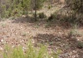 Non-developable land for sale on Camino del Ulldemó, Beceite, ref: TR225858 photo