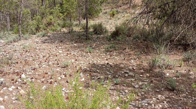 Teruel - Beseit - 2913m2
