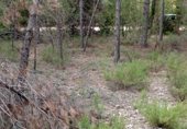 Non-developable land for sale on Camino del Ulldemó, Beceite, ref: TR225858 photo