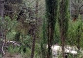 Non-developable land for sale on Camino del Ulldemó, Beceite, ref: TR225858 photo