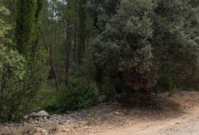 Foto 16