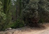 Non-developable land for sale on Camino del Ulldemó, Beceite, ref: TR225858 photo