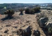 Terreny no urbanitzable en venda a la Camí de Rojals, Guardamar del Segura, ref.: TR226598 foto