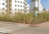 Suelo urbano en venta en la Carrer Paris, Piles, ref: TR226629 foto