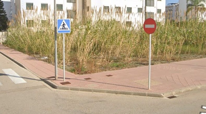 València - Piles - 700m2