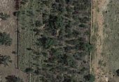 Участок с постройкой на продажу в городе Bétera Фото