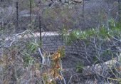 Stone house with land for sale on PR GC 45, Mogán, ref: TR227727 photo