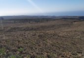 Stone house with land for sale on PR GC 45, Mogán, ref: TR227727 photo