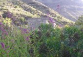 Stone house with land for sale on PR GC 45, Mogán, ref: TR227727 photo