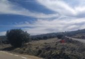Non-developable land for sale on Polígono 42 Parcela 78 CUADRADOS, Almarza, ref: TR216108 photo
