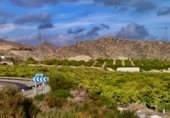 Land with storage building for sale on DIPUTACION DEL CAMPO LOS MELENCHONES, Águilas, ref: TR227761 photo