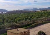 Land with storage building for sale on DIPUTACION DEL CAMPO LOS MELENCHONES, Águilas, ref: TR227761 photo