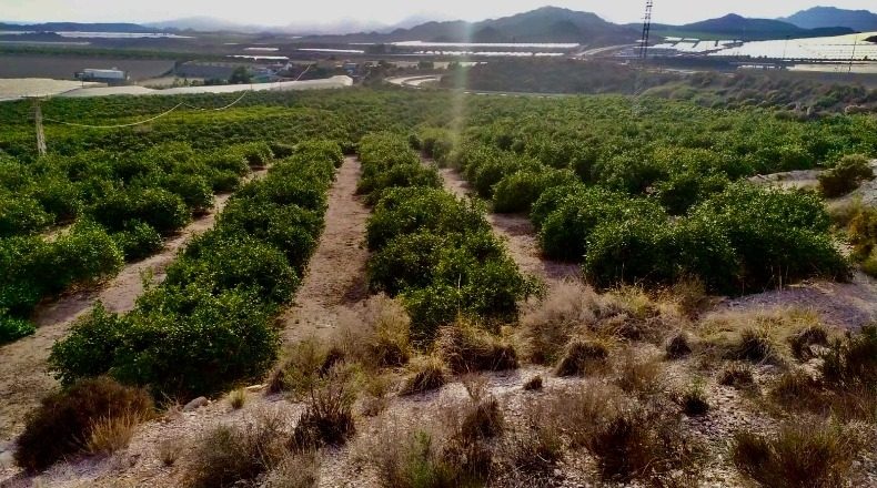 Murcia - Águilas - 76000m2