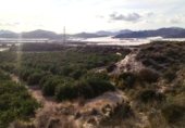 Land with storage building for sale on DIPUTACION DEL CAMPO LOS MELENCHONES, Águilas, ref: TR227761 photo