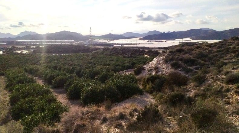 Murcia - Águilas - 76000m2