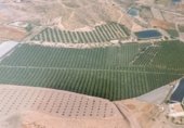 Land with storage building for sale on DIPUTACION DEL CAMPO LOS MELENCHONES, Águilas, ref: TR227761 photo