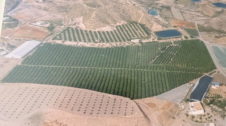 Murcia - Águilas - 76000m2