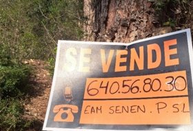 EAM SENEN PROMOCIONES S.L foto