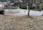 Land suitable for development for sale on Carrer del Bedoll Nº 1, Sant Miquel d'Olèrdola, ref: TR227773 photo