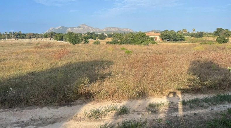 Islas Baleares - Alcudia - 17000m2