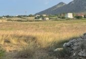Land with ruins for sale on camí de Can Socies, Alcúdia, ref: TR227775 photo