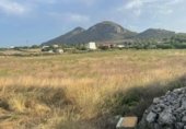 Land with ruins for sale on camí de Can Socies, Alcúdia, ref: TR227775 photo