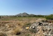 Land with ruins for sale on camí de Can Socies, Alcúdia, ref: TR227775 photo