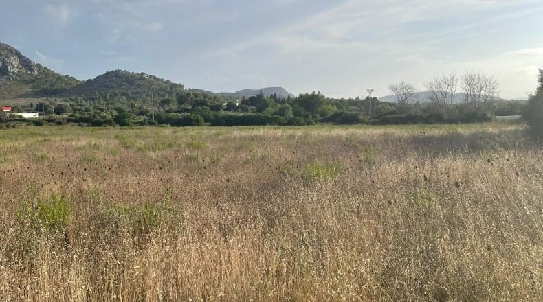 Islas Baleares - Alcudia - 17000m2
