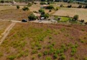 Land with ruins for sale on camí de Can Socies, Alcúdia, ref: TR227775 photo